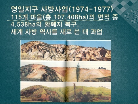 영일지구 사방사업 (from PPT).jpg